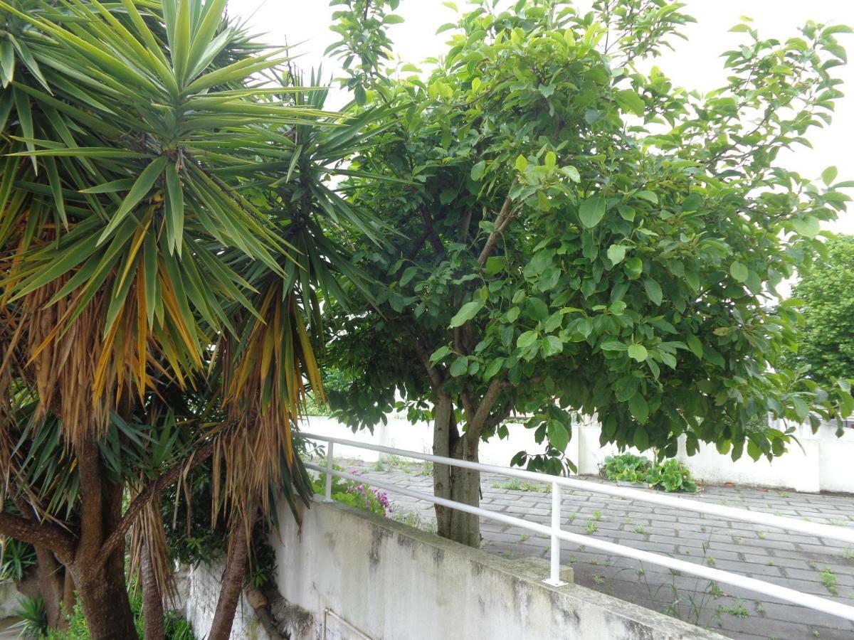 Apartament Sol Nascente Coimbra Zewnętrze zdjęcie